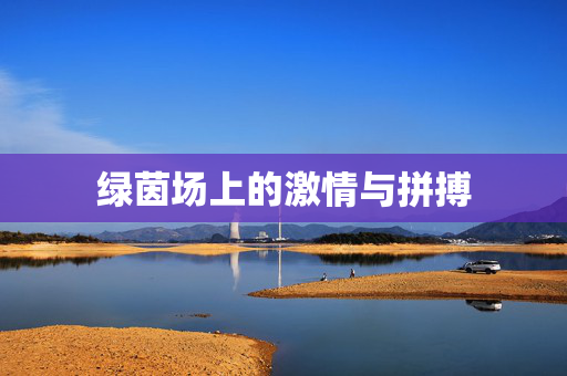 绿茵场上的激情与拼搏