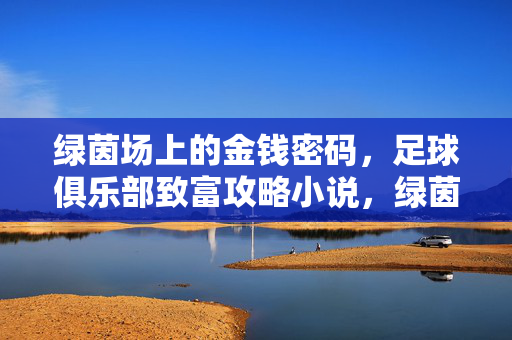 绿茵场上的金钱密码，足球俱乐部致富攻略小说，绿茵场上的金钱密码，足球俱乐部致富攻略小说
