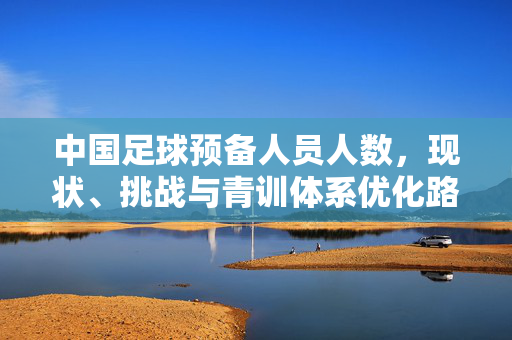中国足球预备人员人数，现状、挑战与青训体系优化路径