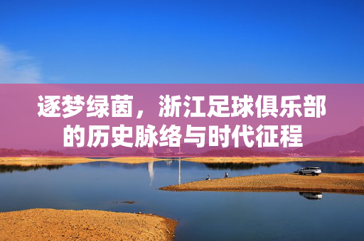 逐梦绿茵，浙江足球俱乐部的历史脉络与时代征程