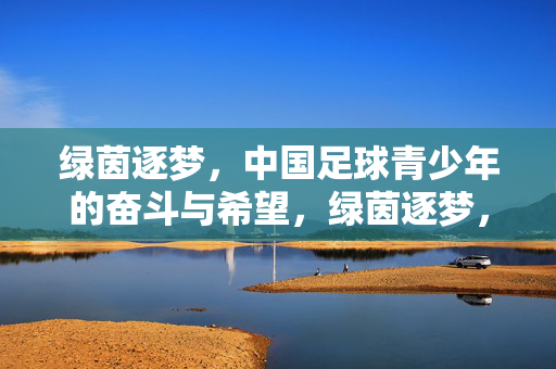 绿茵逐梦，中国足球青少年的奋斗与希望，绿茵逐梦，中国足球青少年的奋斗与希望