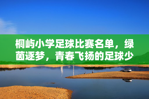 桐屿小学足球比赛名单，绿茵逐梦，青春飞扬的足球少年