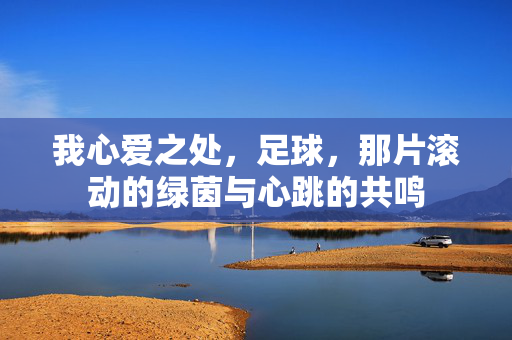 我心爱之处，足球，那片滚动的绿茵与心跳的共鸣