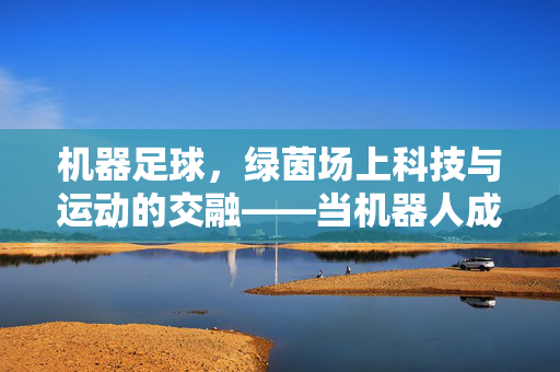 机器足球，绿茵场上科技与运动的交融——当机器人成为足球新主角