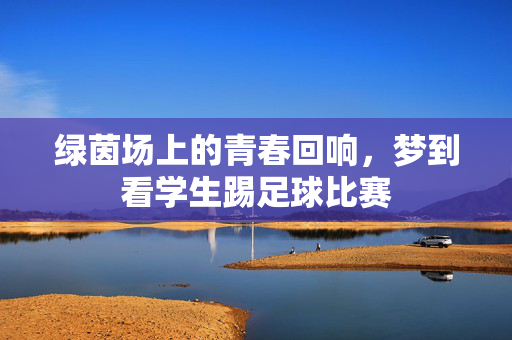 绿茵场上的青春回响，梦到看学生踢足球比赛