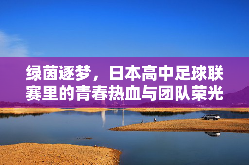 绿茵逐梦，日本高中足球联赛里的青春热血与团队荣光，绿茵逐梦，日本高中足球联赛里的青春热血与团队荣光