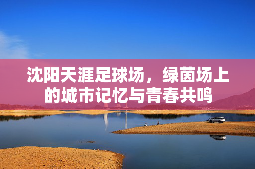 沈阳天涯足球场，绿茵场上的城市记忆与青春共鸣