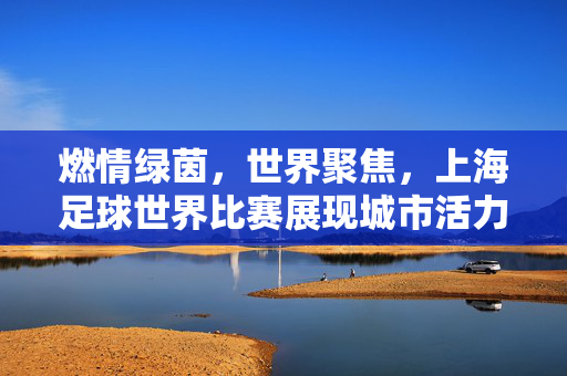 燃情绿茵，世界聚焦，上海足球世界比赛展现城市活力与全球足球文化交融