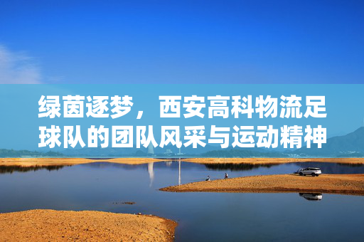 绿茵逐梦，西安高科物流足球队的团队风采与运动精神
