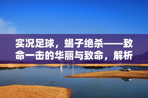 实况足球，蝎子绝杀——致命一击的华丽与致命，解析经典守门员绝杀的技巧与魅力