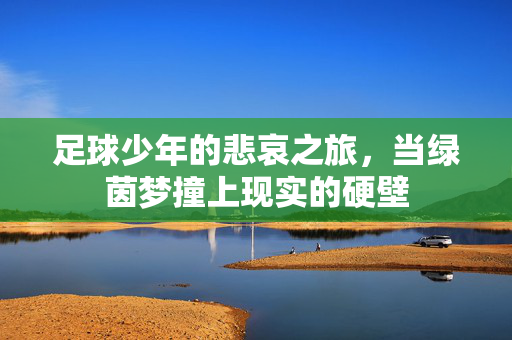 足球少年的悲哀之旅，当绿茵梦撞上现实的硬壁