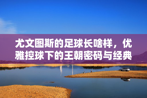尤文图斯的足球长啥样，优雅控球下的王朝密码与经典印记