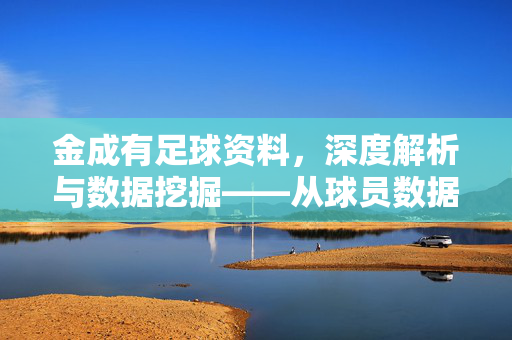 金成有足球资料，深度解析与数据挖掘——从球员数据看足球运动的科学魅力