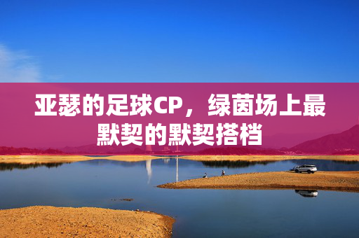 亚瑟的足球CP，绿茵场上最默契的默契搭档