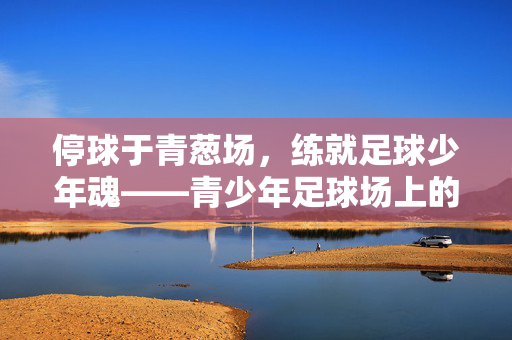 停球于青葱场，练就足球少年魂——青少年足球场上的停球艺术与成长启示