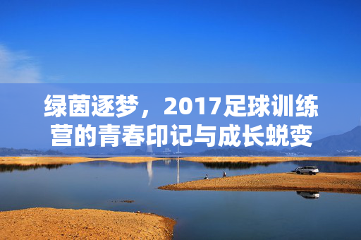 绿茵逐梦，2017足球训练营的青春印记与成长蜕变