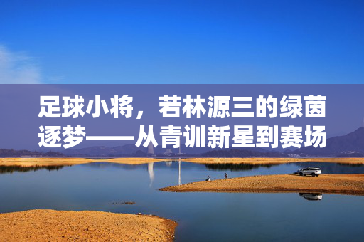 足球小将，若林源三的绿茵逐梦——从青训新星到赛场领袖的成长之路