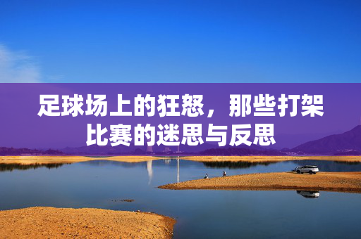 足球场上的狂怒,那些打架比赛的迷思与反思