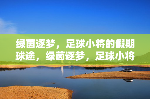 绿茵逐梦，足球小将的假期球途，绿茵逐梦，足球小将的假期球途