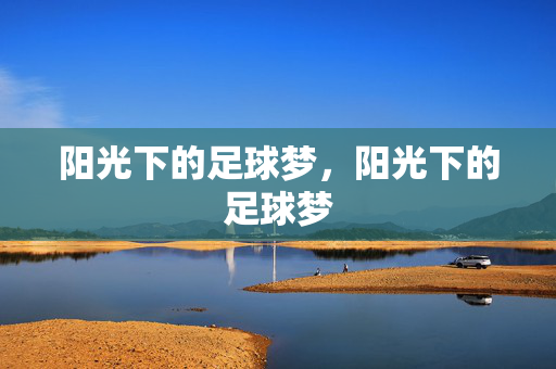 阳光下的足球梦，阳光下的足球梦