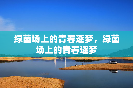 绿茵场上的青春逐梦，绿茵场上的青春逐梦