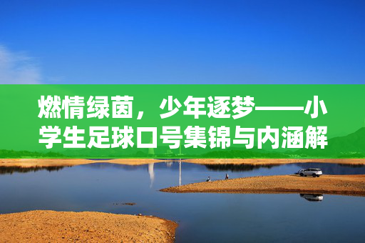 燃情绿茵，少年逐梦——小学生足球口号集锦与内涵解读，燃情绿茵，少年逐梦——小学生足球口号集锦与内涵解读