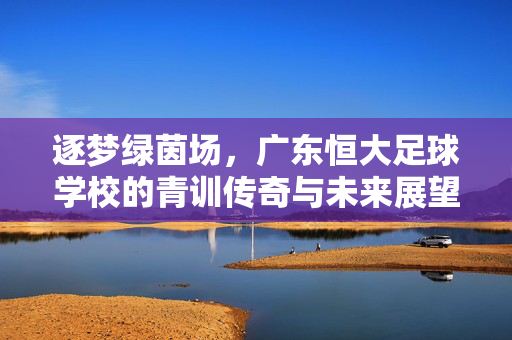 逐梦绿茵场，广东恒大足球学校的青训传奇与未来展望，逐梦绿茵场，广东恒大足球学校的青训传奇与未来展望