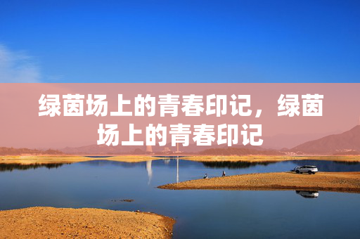 绿茵场上的青春印记,绿茵场上的青春印记