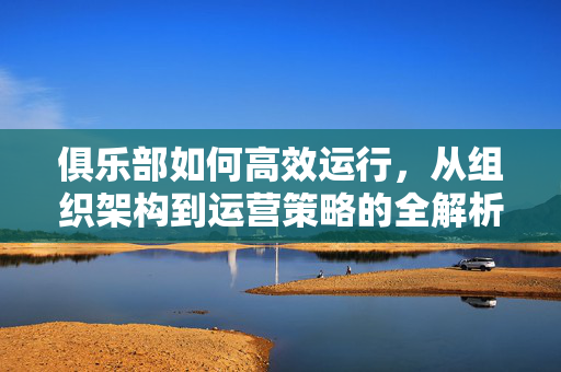 俱乐部如何高效运行,从组织架构到运营策略的全解析,俱乐部高效运行,从组织架构到运营策略的全解析