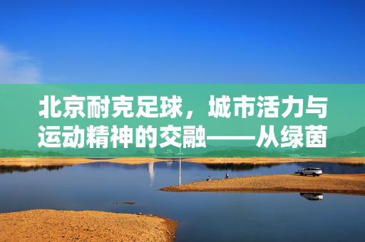 北京耐克足球，城市活力与运动精神的交融——从绿茵场到社区的足球梦想之旅，北京耐克足球，城市活力与运动精神的交融——从绿茵场到社区的足球梦想之旅