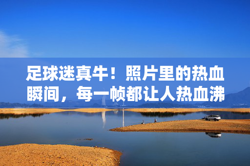 足球迷真牛！照片里的热血瞬间，每一帧都让人热血沸腾，足球迷真牛！照片里的热血瞬间，每一帧都让人热血沸腾