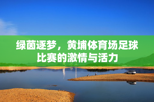 绿茵逐梦，黄埔体育场足球比赛的激情与活力
