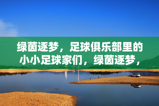 绿茵逐梦，足球俱乐部里的小小足球家们，绿茵逐梦，足球俱乐部里的小小足球家们
