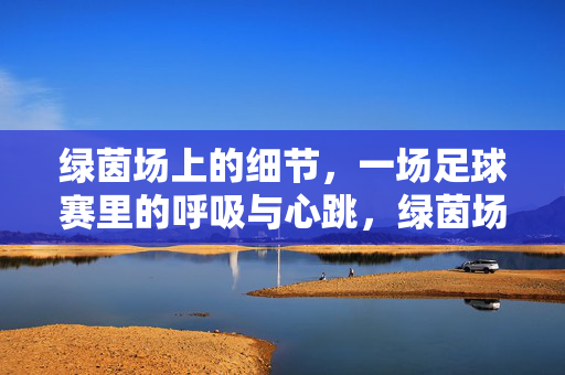 绿茵场上的细节，一场足球赛里的呼吸与心跳，绿茵场上的细节，一场足球赛里的呼吸与心跳