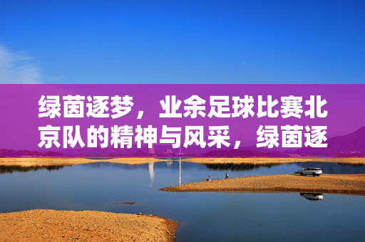 绿茵逐梦,业余足球比赛北京队的精神与风采,绿茵逐梦,业余足球比赛北京队的精神与风采