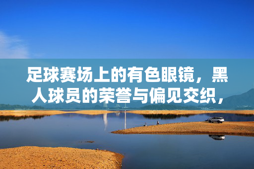 足球赛场上的有色眼镜，黑人球员的荣誉与偏见交织，足球赛场上的有色眼镜，黑人球员的荣誉与偏见交织