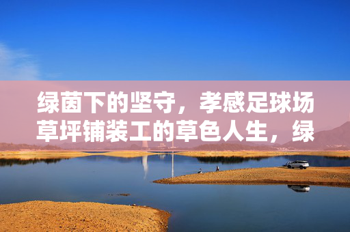 绿茵下的坚守，孝感足球场草坪铺装工的草色人生，绿茵下的坚守，孝感足球场草坪铺装工的草色人生