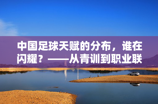 中国足球天赋的分布，谁在闪耀？——从青训到职业联赛的潜力挖掘