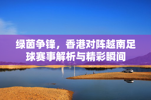 绿茵争锋，香港对阵越南足球赛事解析与精彩瞬间