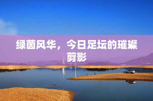 绿茵风华，今日足坛的璀璨剪影