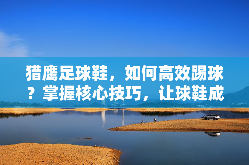 猎鹰足球鞋，如何高效踢球？掌握核心技巧，让球鞋成为你的球场利器