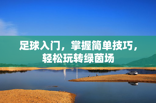 足球入门，掌握简单技巧，轻松玩转绿茵场