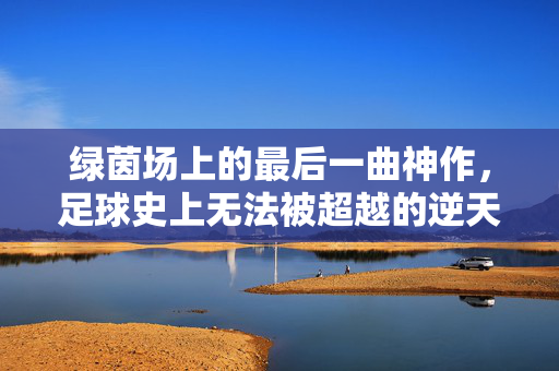 绿茵场上的最后一曲神作，足球史上无法被超越的逆天奇迹