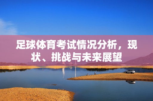 足球体育考试情况分析，现状、挑战与未来展望