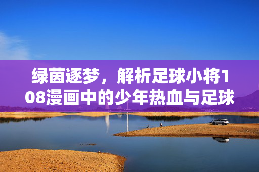 绿茵逐梦，解析足球小将108漫画中的少年热血与足球哲学