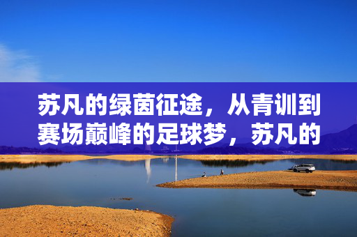 苏凡的绿茵征途，从青训到赛场巅峰的足球梦，苏凡的绿茵征途，从青训到赛场巅峰的足球梦