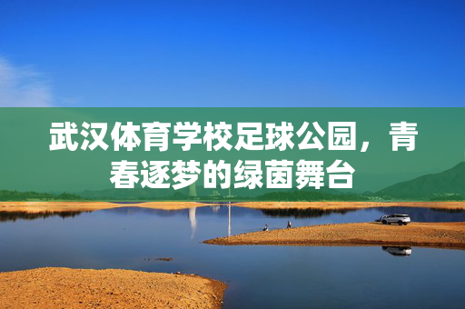 武汉体育学校足球公园，青春逐梦的绿茵舞台