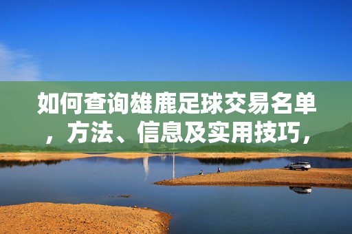 如何查询雄鹿足球交易名单，方法、信息及实用技巧，如何查询雄鹿足球交易名单，方法、信息及实用技巧
