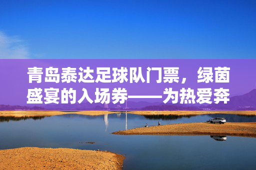 青岛泰达足球队门票，绿茵盛宴的入场券——为热爱奔赴，为激情加冕，青岛泰达足球队门票，绿茵盛宴的入场券——为热爱奔赴，为激情加冕