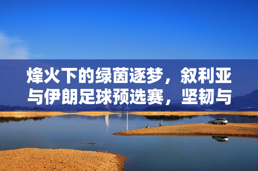 烽火下的绿茵逐梦，叙利亚与伊朗足球预选赛，坚韧与激情的碰撞